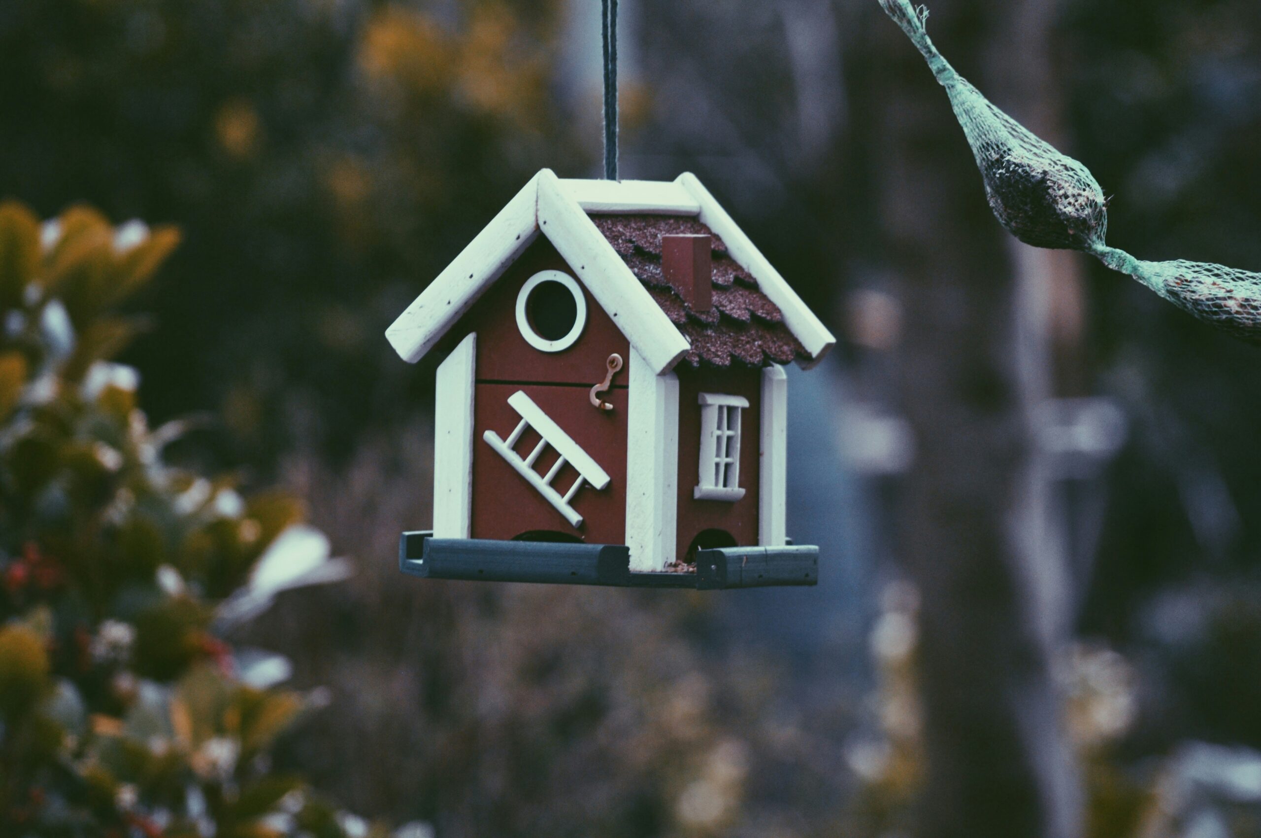 Investasi Properti: Rumah vs Apartemen